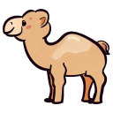 Cute Camel